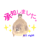 キンカーズの日常Part1（個別スタンプ：14）