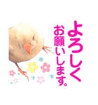 キンカーズの日常Part1（個別スタンプ：15）