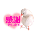 キンカーズの日常Part1（個別スタンプ：16）