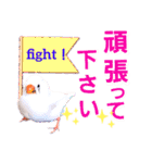 キンカーズの日常Part1（個別スタンプ：17）