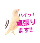 キンカーズの日常Part1（個別スタンプ：18）