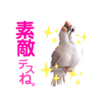 キンカーズの日常Part1（個別スタンプ：20）