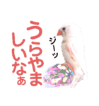 キンカーズの日常Part1（個別スタンプ：21）