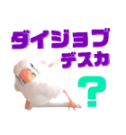 キンカーズの日常Part1（個別スタンプ：22）