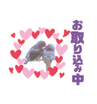 キンカーズの日常Part1（個別スタンプ：24）