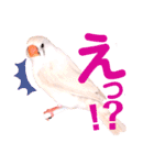 キンカーズの日常Part1（個別スタンプ：25）