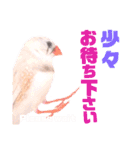 キンカーズの日常Part1（個別スタンプ：26）