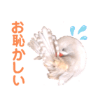 キンカーズの日常Part1（個別スタンプ：35）