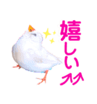 キンカーズの日常Part1（個別スタンプ：37）