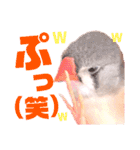 キンカーズの日常Part1（個別スタンプ：39）