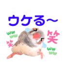 キンカーズの日常Part1（個別スタンプ：40）
