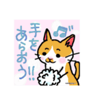 ねこ・猫・にゃんこ♪（個別スタンプ：3）