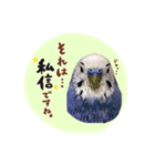 『セキセイインコのおもちくん』by綾恵梨（個別スタンプ：2）