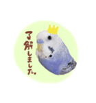 『セキセイインコのおもちくん』by綾恵梨（個別スタンプ：9）