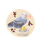 『セキセイインコのおもちくん』by綾恵梨（個別スタンプ：16）