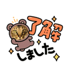ルフィが歩けるようになる支援スタンプR＆G（個別スタンプ：4）