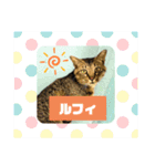 ルフィが歩けるようになる支援スタンプR＆G（個別スタンプ：5）