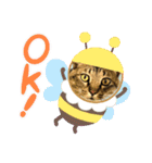 ルフィが歩けるようになる支援スタンプR＆G（個別スタンプ：6）