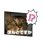 ルフィが歩けるようになる支援スタンプR＆G（個別スタンプ：8）
