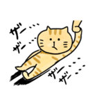 ねこ太の大冒険。（個別スタンプ：23）