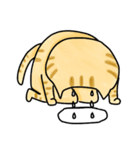 ねこ太の大冒険。（個別スタンプ：27）