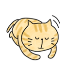 ねこ太の大冒険。（個別スタンプ：37）