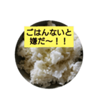 ごはん大好きなんです♥（個別スタンプ：1）