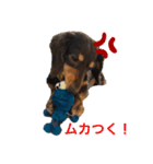 森ニコスタンプ（個別スタンプ：6）