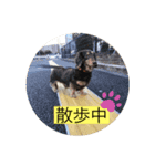 森ニコスタンプ（個別スタンプ：8）