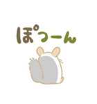 ちらちらチンチラ（でか文字）（個別スタンプ：25）