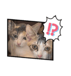 オードリースタンプ（個別スタンプ：5）