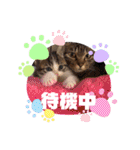 オードリースタンプ（個別スタンプ：6）