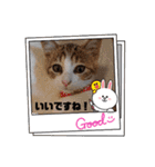 オードリースタンプ（個別スタンプ：7）