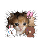 オードリースタンプ（個別スタンプ：9）