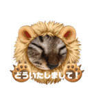 オードリースタンプ（個別スタンプ：14）