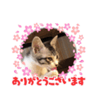 オードリースタンプ（個別スタンプ：15）