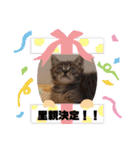 オードリースタンプ（個別スタンプ：16）