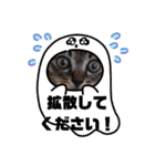 オードリースタンプ（個別スタンプ：19）