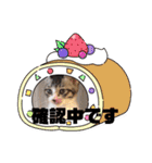 オードリースタンプ（個別スタンプ：20）