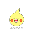 まいにちオカメ（個別スタンプ：1）