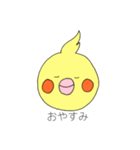 まいにちオカメ（個別スタンプ：6）