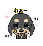 ミニチュアダックス子犬くん（個別スタンプ：29）