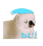 とらくん・スタンプ その3（個別スタンプ：11）