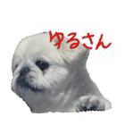 とらくん・スタンプ その3（個別スタンプ：20）