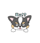 チワワ。ブラックタン＆ホワイト（個別スタンプ：24）