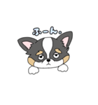 チワワ。ブラックタン＆ホワイト（個別スタンプ：32）