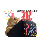 ひい_stamp（個別スタンプ：1）