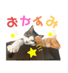 ひい_stamp（個別スタンプ：6）