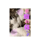 ひい_stamp（個別スタンプ：7）