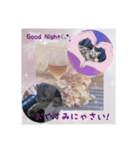 にゃんスタ☆あいさつSummer（個別スタンプ：3）
